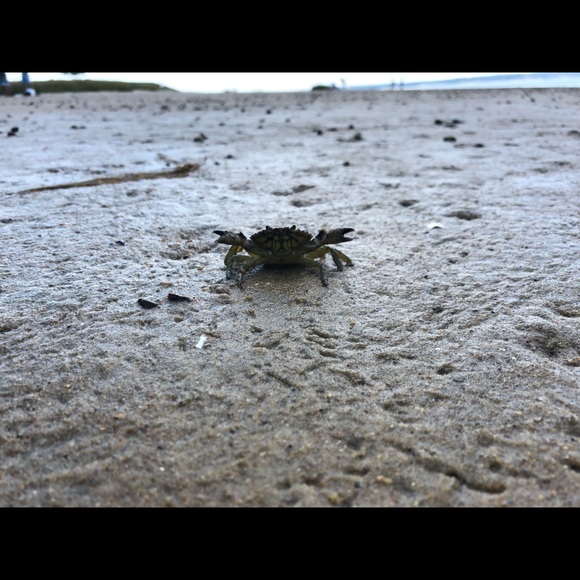 WHAT UP GUYS CHECK OUT MY CLOSET - Picture 3 of 4